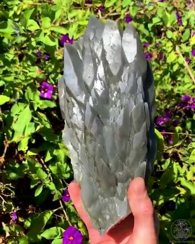Naturally occurring "dragon scale" calcite. Each "scale" is a single crystal that grew and overlapped the previous.