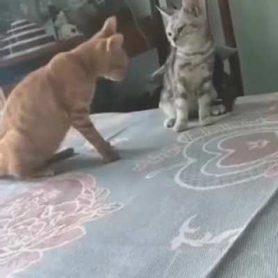 I'll never let you go again...