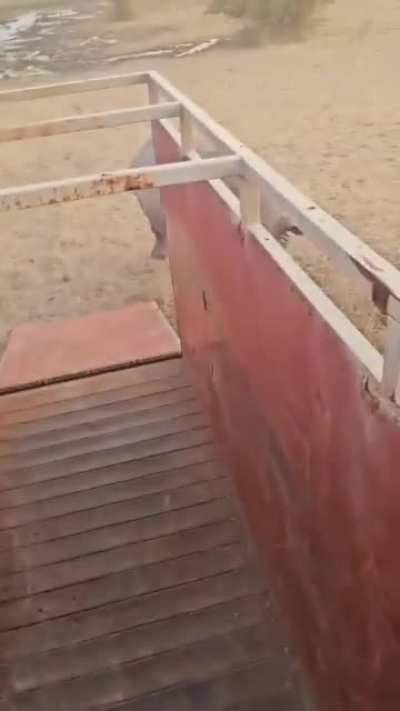 How strong ?