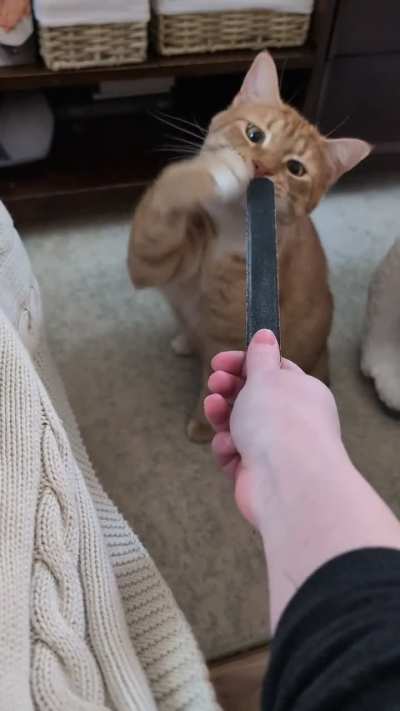 Every time I do my nails ?