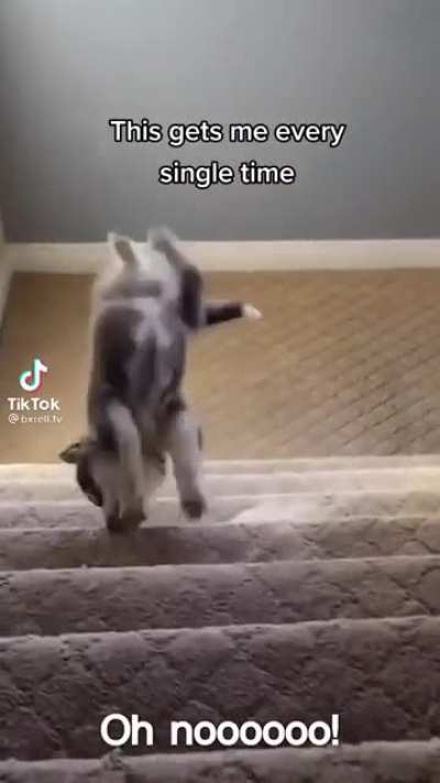 to climb stairs