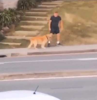 To go for a walk
