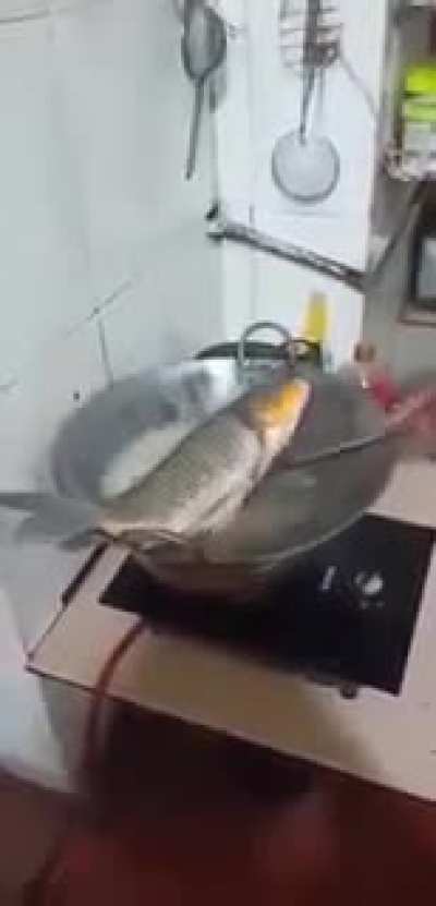 You aint going to eat me bitch