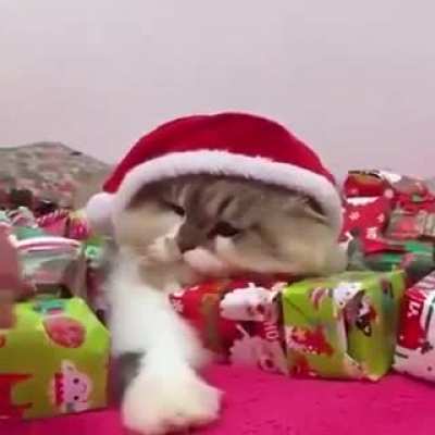 Mine, all mine..!