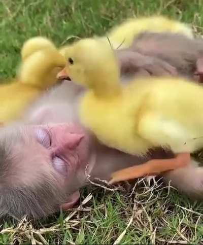 Wish this make your day better, ENJOY!