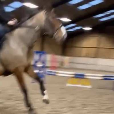 Oh Neigh!