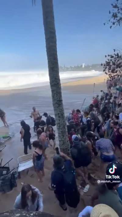 Spectators at “The Eddie,” Waimea Bay