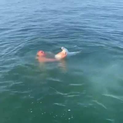 Hmb while I go "fishing"