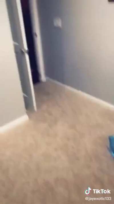 He ran away so fast ?.
