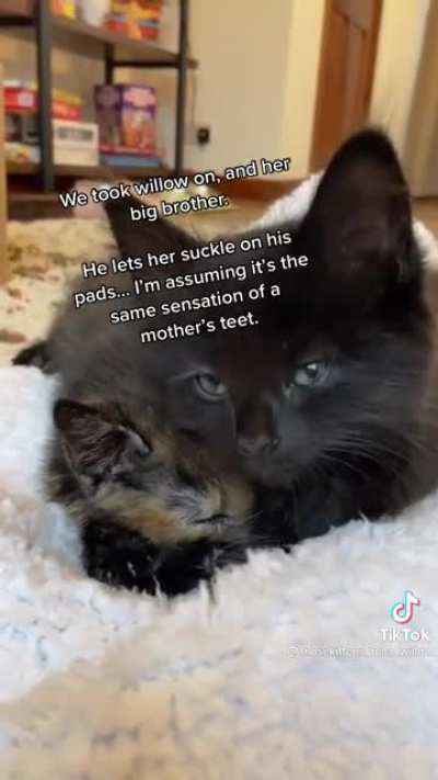 Awww ?