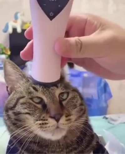 Release the derp