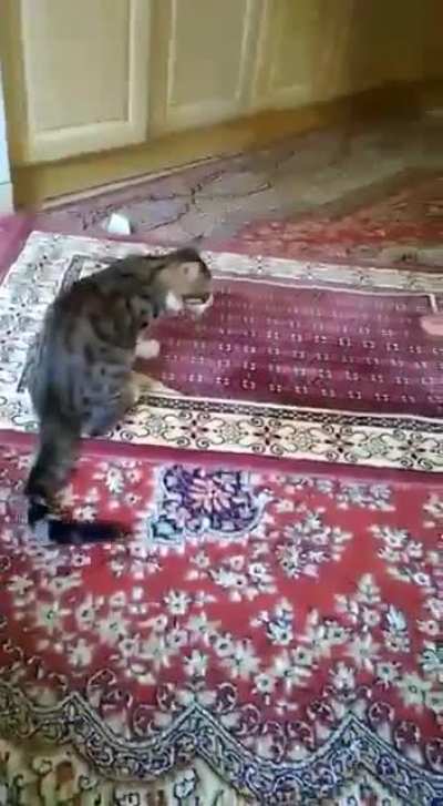 To pray in peace.