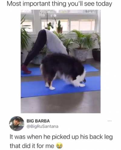 That leg lift tho…