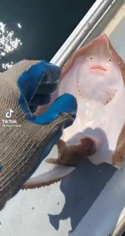 That fish