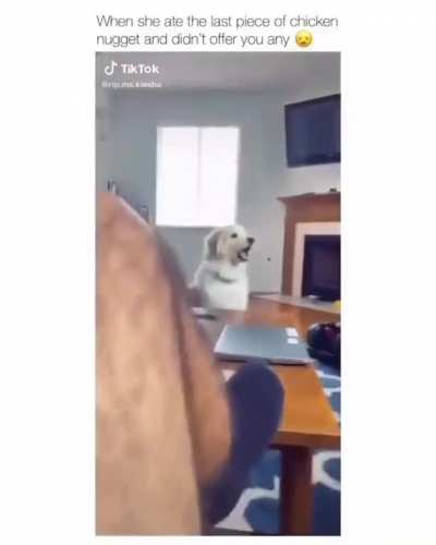 You did not just do that ??
