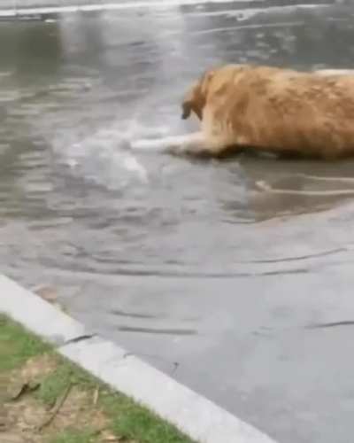 A golden being gold