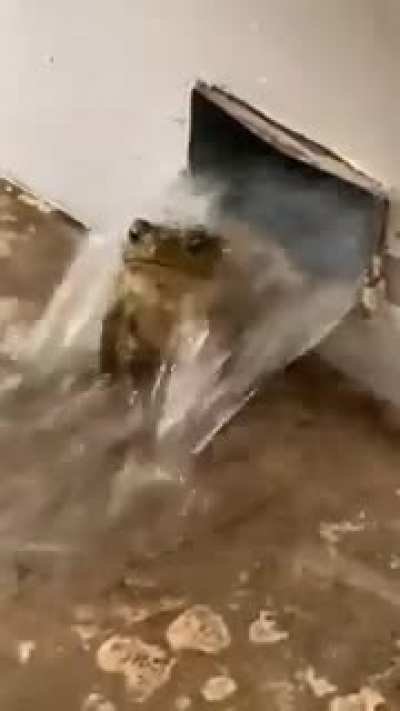 Think this derpy dude been seen some shit and need a long cold shower