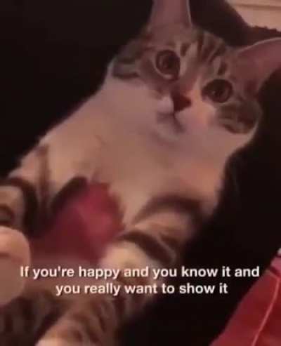 If you're happy and you know it say "meow"