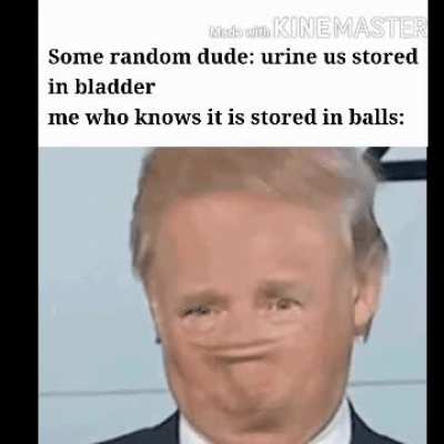 This seemed better in my ass