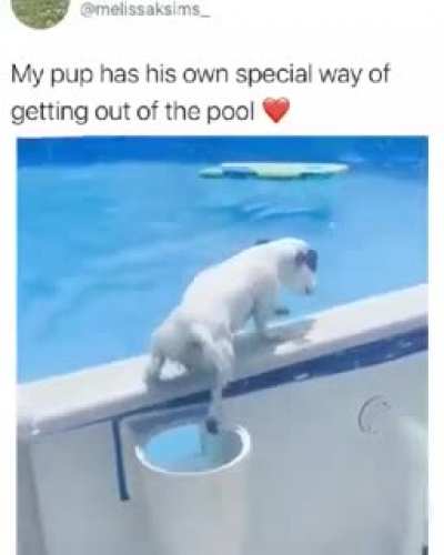 This is too Cute ?
