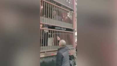 People being moved inside a cattle truck