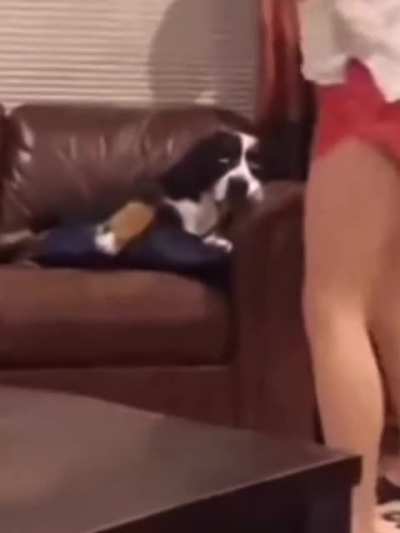 He’s just fed up of this shit!