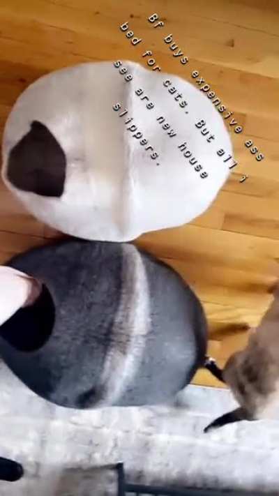 Feet cover