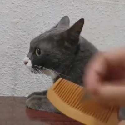 Mlem trigger