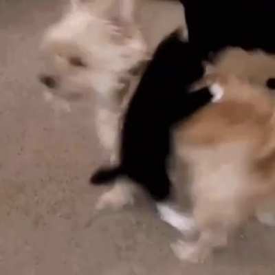 8 Seconds!