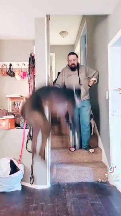 Boing