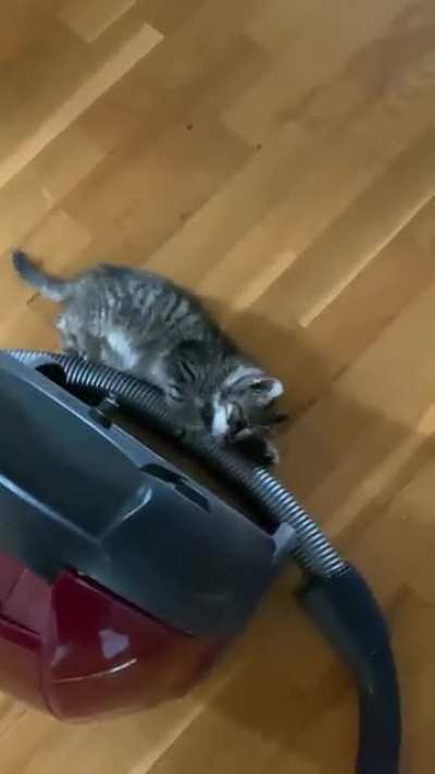 Housekeeping