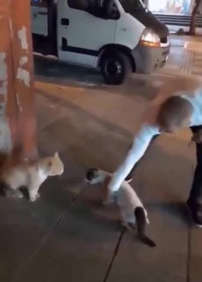 Maybe maybe maybe