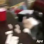 Abrupt Catos