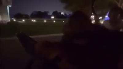 Orangutan is also great at driving a golf cart at night