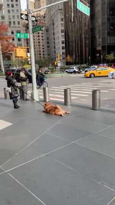 Tuesday Snooze Day