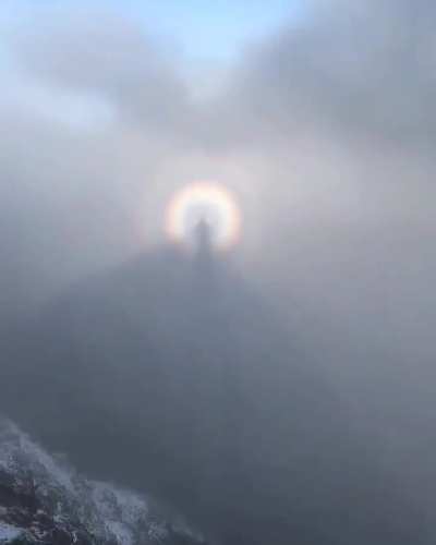 ? A hiker captures his own shadow floating in the mountain mist, surrounded by a glowing solar halo