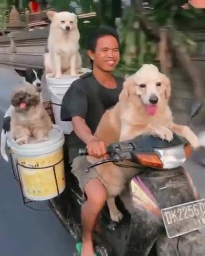 Cruising through Bali with the squad ?