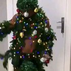 Wtf