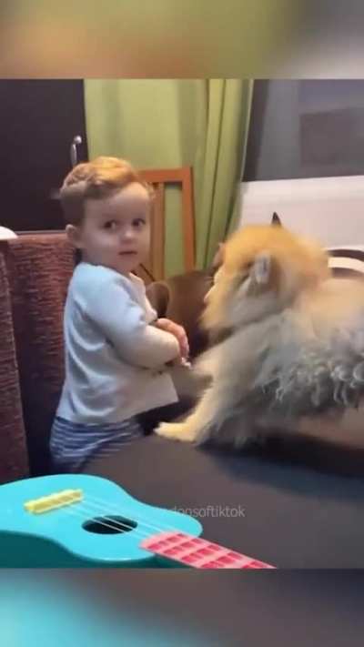 Kid vs Dogs ??