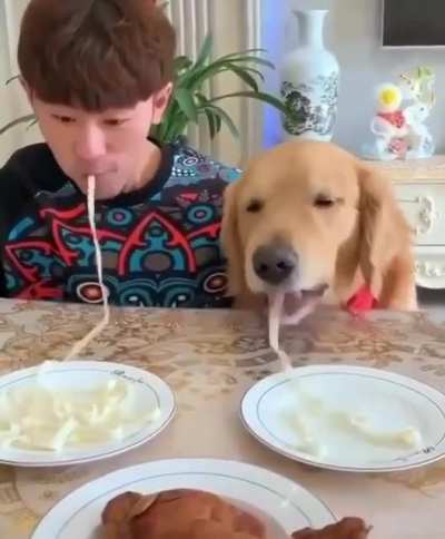 You did not stand a chance against me hooman