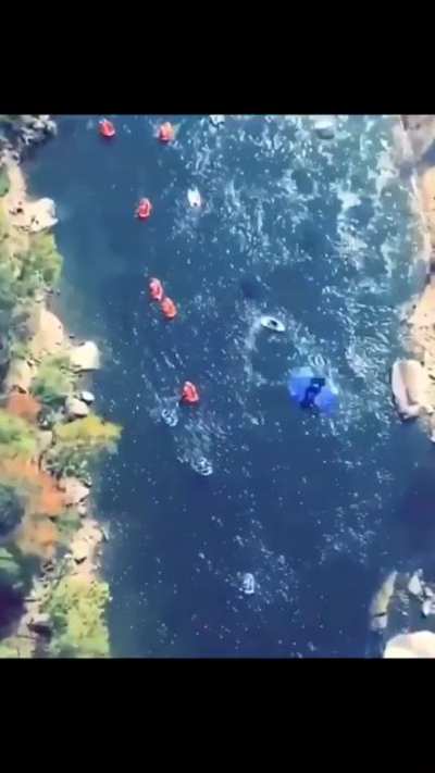 Would you do it?