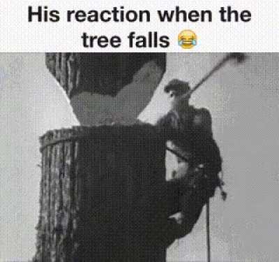 The expression is killing me ?