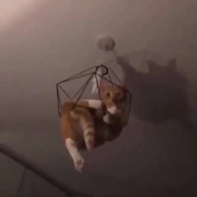 How
