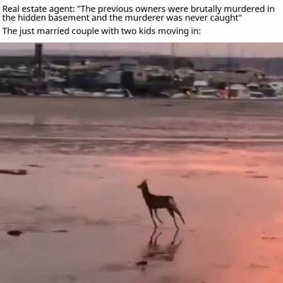 Cute deer go brrrrr