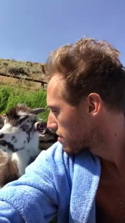 Human vs goat