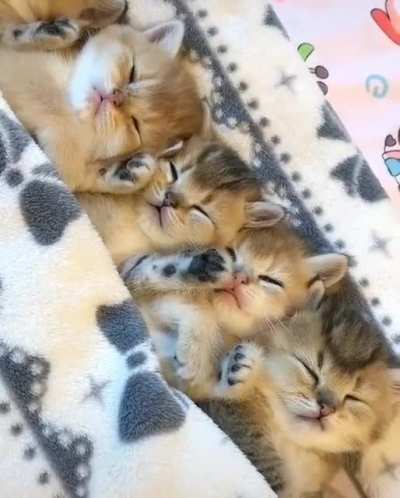 Fluffy