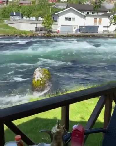 Breakfast &amp; a view in Norway