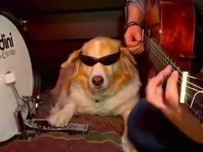 The coolest