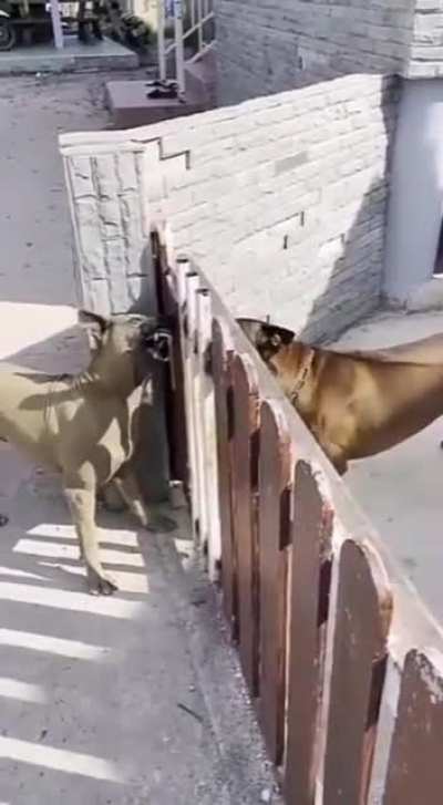 What's going on here?