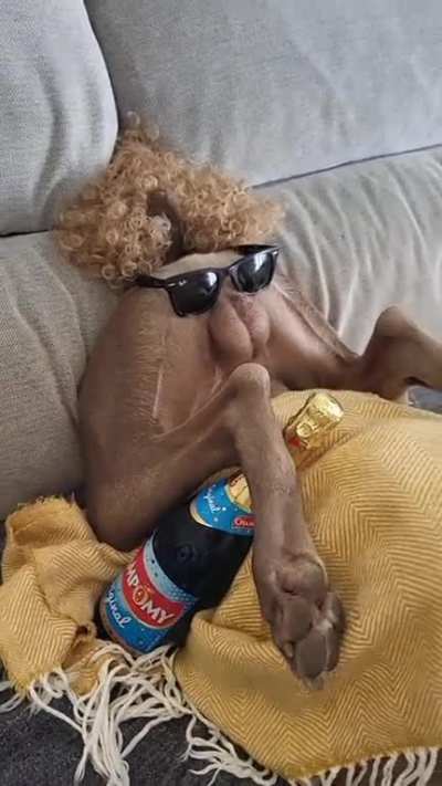 Life's Good